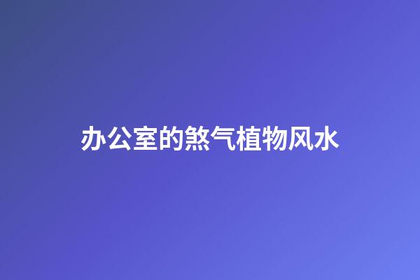 办公室的煞气植物风水