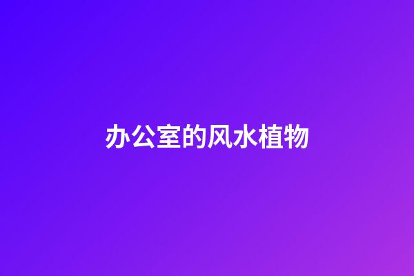 办公室的风水植物