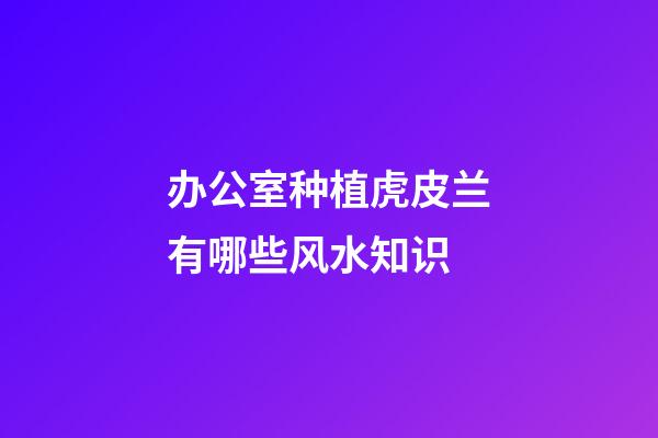 办公室种植虎皮兰有哪些风水知识