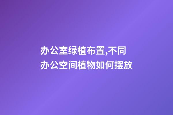 办公室绿植布置,不同办公空间植物如何摆放-第1张-观点-玄机派