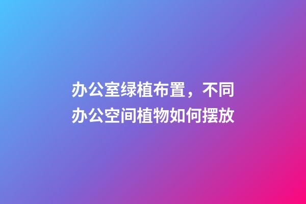 办公室绿植布置，不同办公空间植物如何摆放-第1张-观点-玄机派