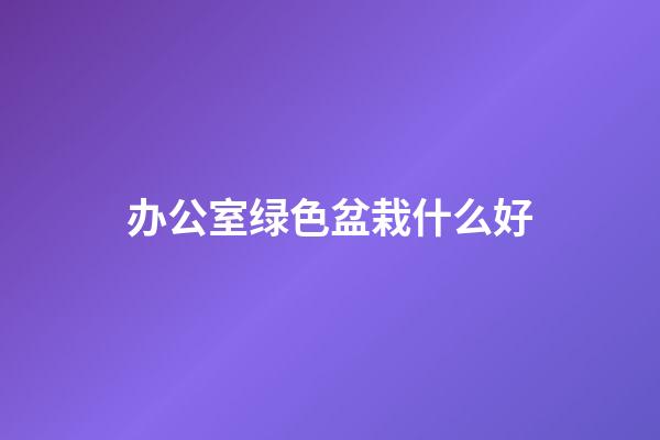 办公室绿色盆栽什么好