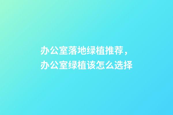 办公室落地绿植推荐，办公室绿植该怎么选择-第1张-观点-玄机派