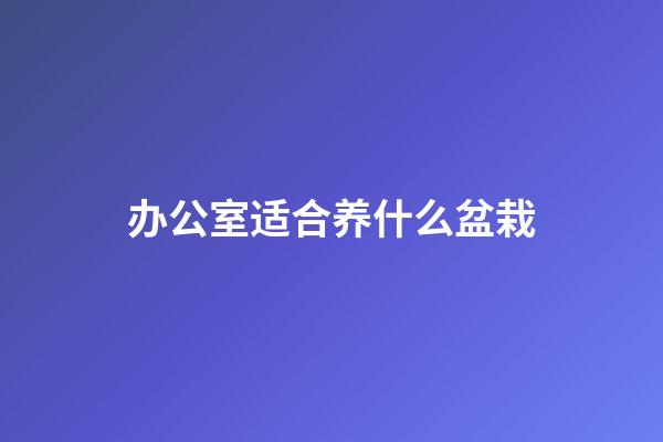 办公室适合养什么盆栽