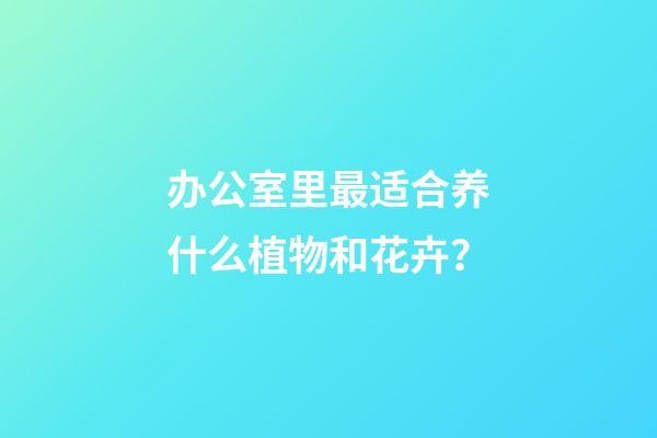办公室里最适合养什么植物和花卉？