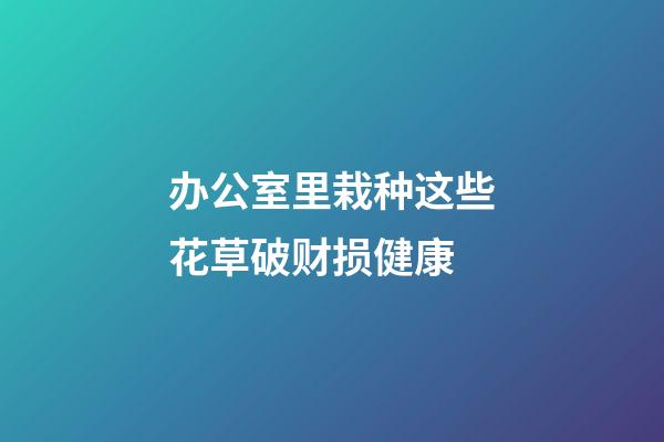 办公室里栽种这些花草破财损健康