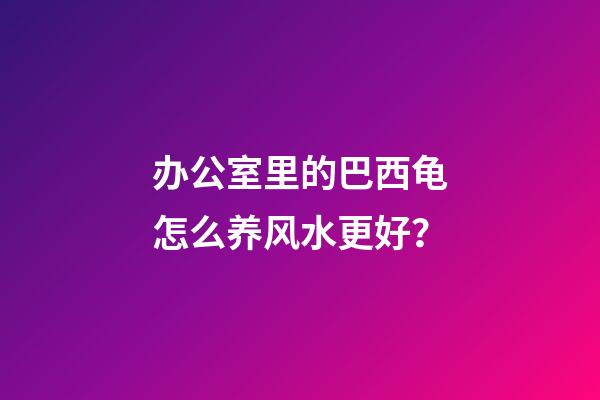 办公室里的巴西龟怎么养风水更好？