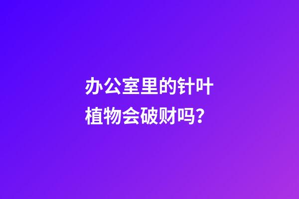 办公室里的针叶植物会破财吗？