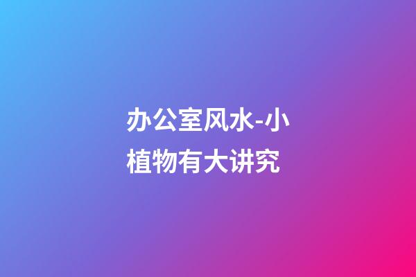 办公室风水-小植物有大讲究