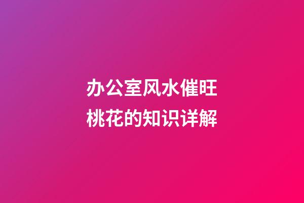 办公室风水催旺桃花的知识详解