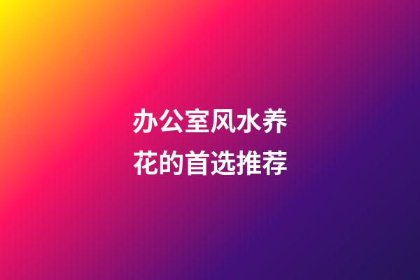 办公室风水养花的首选推荐