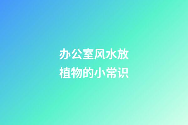 办公室风水放植物的小常识