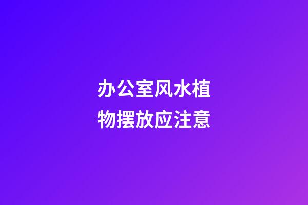 办公室风水植物摆放应注意