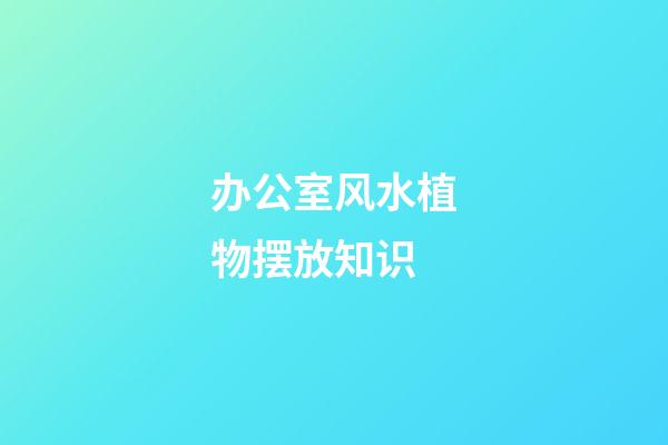 办公室风水植物摆放知识