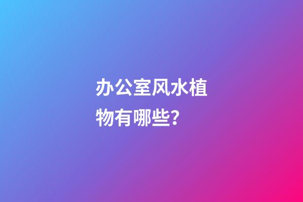 办公室风水植物有哪些？