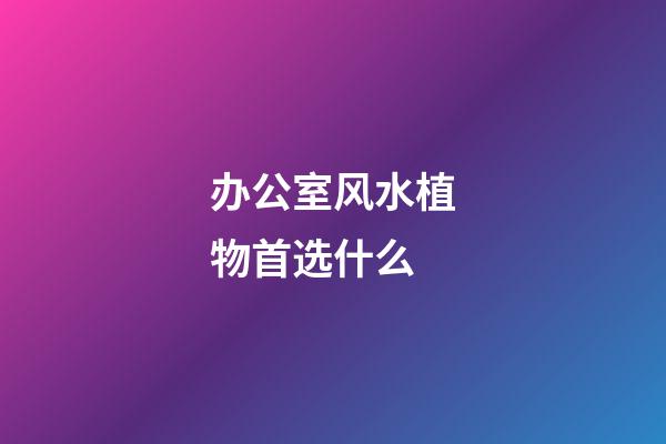 办公室风水植物首选什么