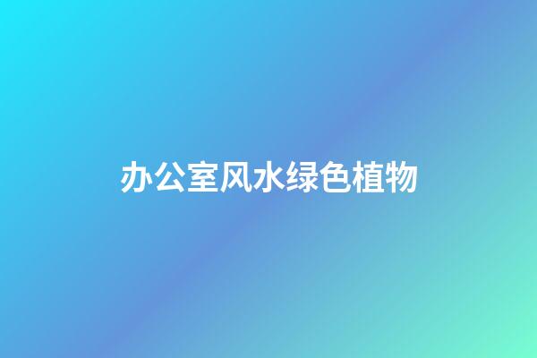 办公室风水绿色植物