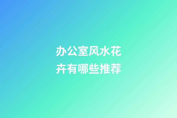 办公室风水花卉有哪些推荐