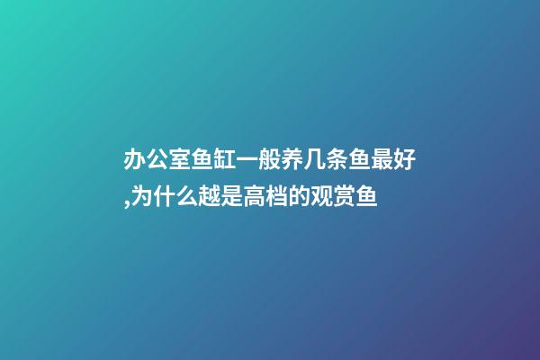 办公室鱼缸一般养几条鱼最好,为什么越是高档的观赏鱼-第1张-观点-玄机派