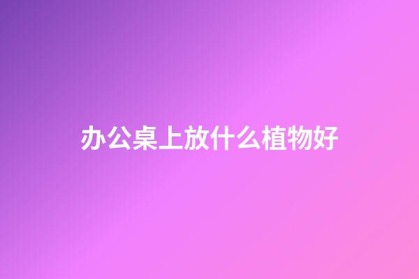 办公桌上放什么植物好