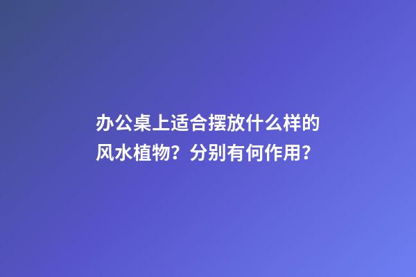 办公桌上适合摆放什么样的风水植物？分别有何作用？