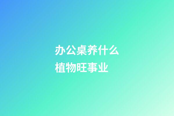办公桌养什么植物旺事业