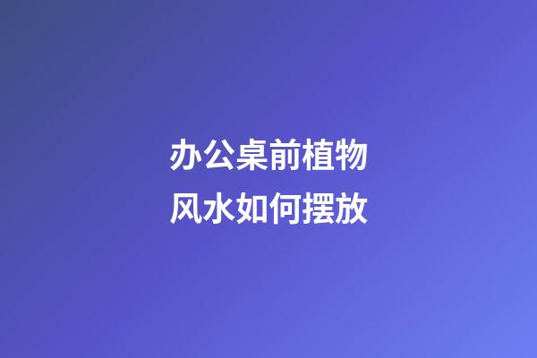 办公桌前植物风水如何摆放