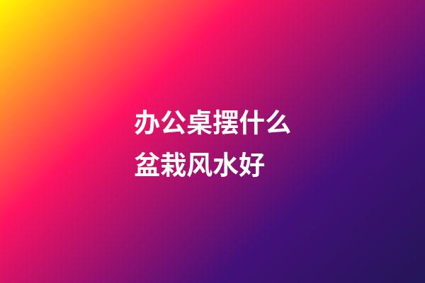 办公桌摆什么盆栽风水好