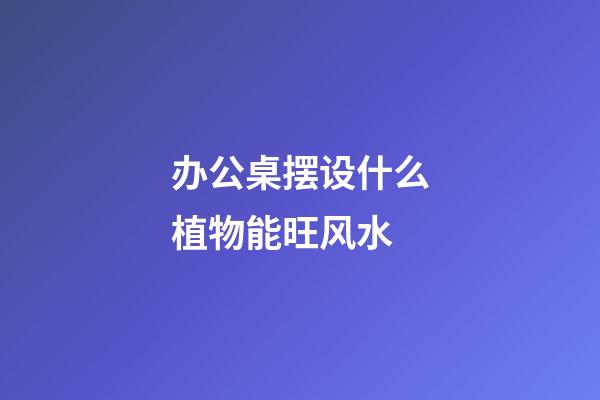 办公桌摆设什么植物能旺风水