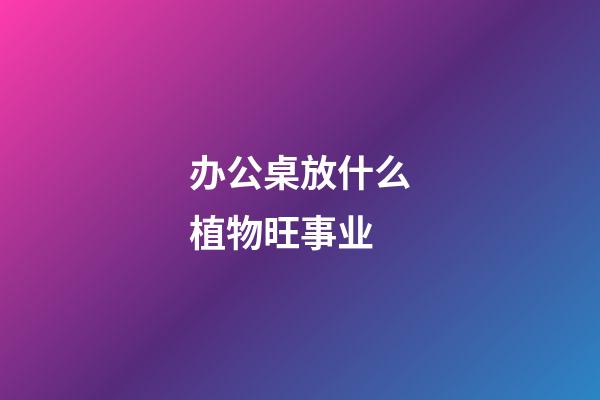 办公桌放什么植物旺事业