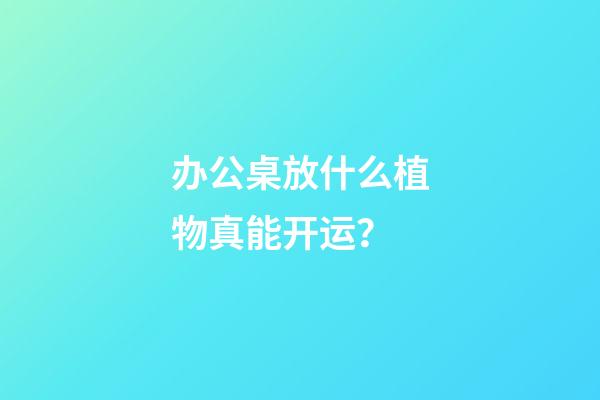办公桌放什么植物真能开运？