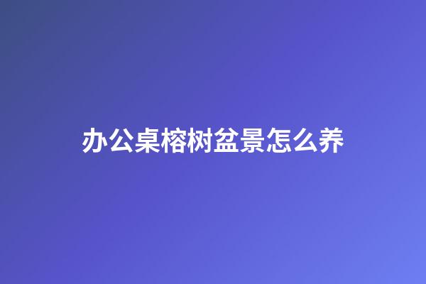 办公桌榕树盆景怎么养