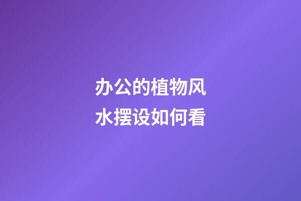 办公的植物风水摆设如何看
