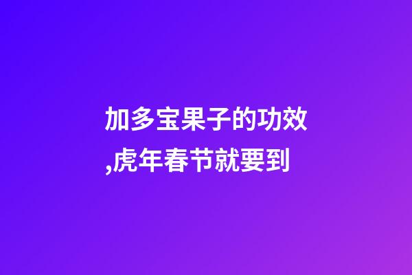 加多宝果子的功效,虎年春节就要到-第1张-观点-玄机派