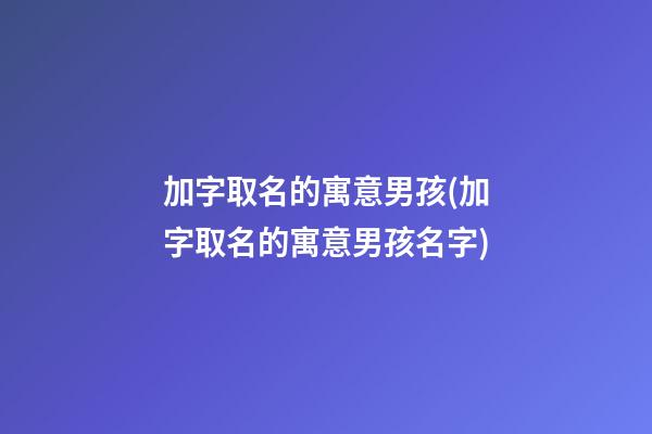 加字取名的寓意男孩(加字取名的寓意男孩名字)