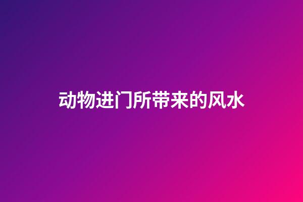 动物进门所带来的风水