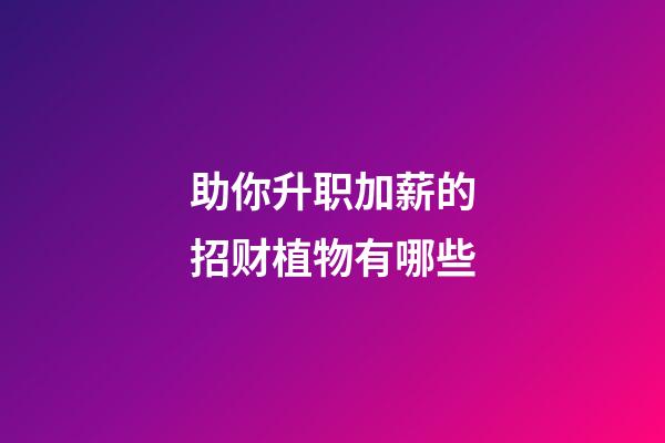 助你升职加薪的招财植物有哪些