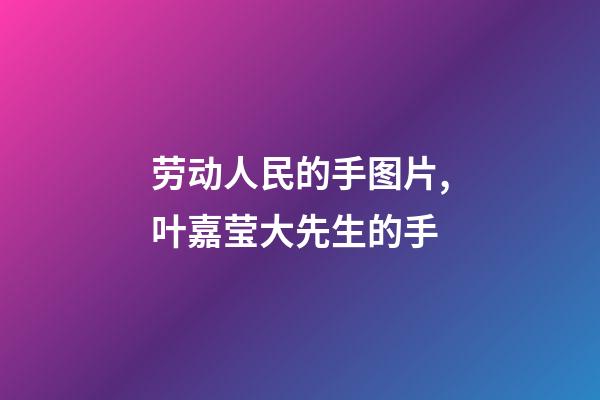 劳动人民的手图片,叶嘉莹大先生的手(原创)-第1张-观点-玄机派