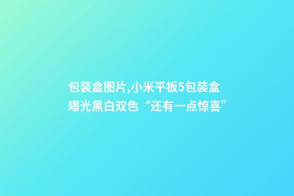 包装盒图片,小米平板5包装盒曝光黑白双色“还有一点惊喜”-第1张-观点-玄机派