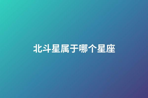 北斗星属于哪个星座（北斗星是什么星座的主要标志）-第1张-星座运势-玄机派