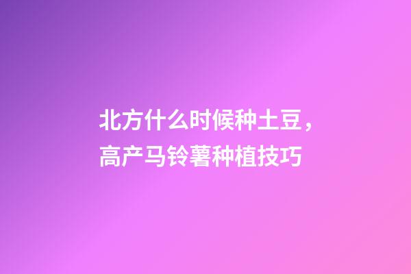 北方什么时候种土豆，高产马铃薯种植技巧-第1张-观点-玄机派
