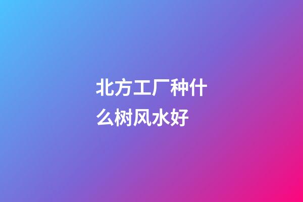 北方工厂种什么树风水好