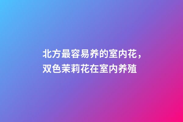 北方最容易养的室内花，双色茉莉花在室内养殖-第1张-观点-玄机派