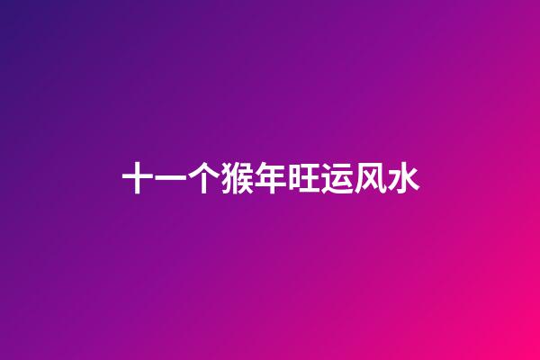 十一个猴年旺运风水