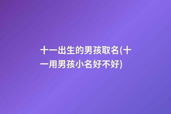 十一出生的男孩取名(十一用男孩小名好不好)
