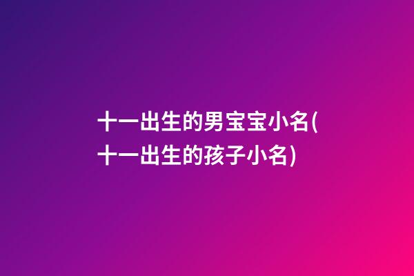 十一出生的男宝宝小名(十一出生的孩子小名)
