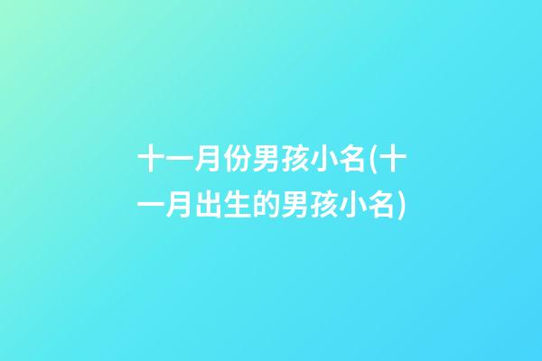 十一月份男孩小名(十一月出生的男孩小名)