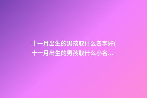 十一月出生的男孩取什么名字好(十一月出生的男孩取什么小名)