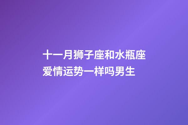 十一月狮子座和水瓶座爱情运势一样吗男生-第1张-星座运势-玄机派