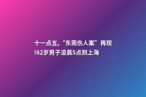 十一点五,“东莞伤人案”再现!62岁男子凌晨5点到上海-第1张-观点-玄机派